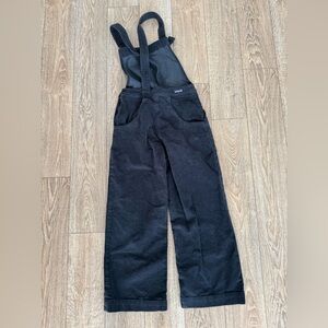 Patagonia Stand Up Cropped Overalls